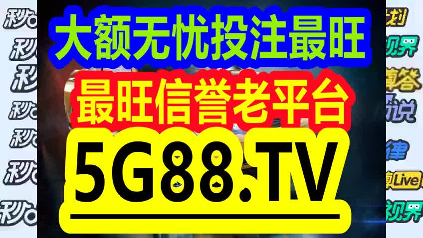 管家婆一码中一肖2024,管家婆一码中一肖，揭秘未来之幸运密码（2024展望）