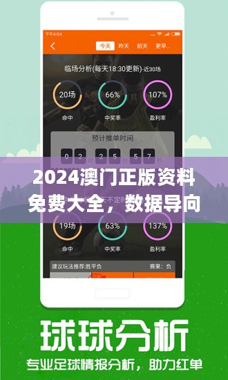 2023澳门管家婆资料正版大全,澳门管家婆资料正版大全 2023年全新解析