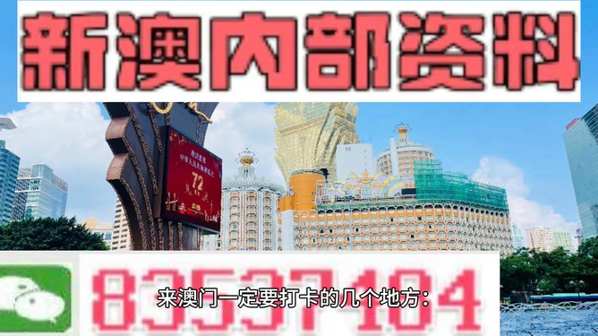 2024澳门正版精准免费大全,澳门正版精准免费大全，探索未来的预测与娱乐新境界（2024版）