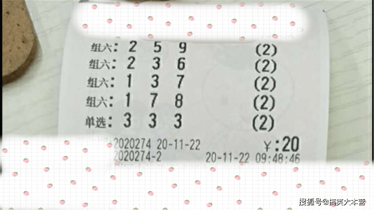 2025澳门六开奖结果出来,澳门彩票的未来展望，聚焦2025年六开奖结果展望