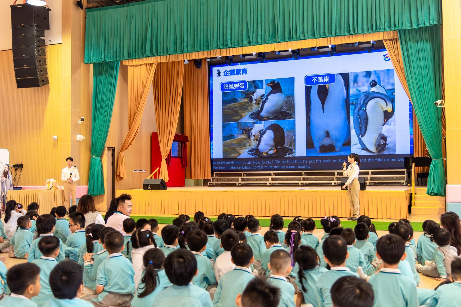 2025澳门今天晚上开什么生肖,澳门今晚生肖预测，探寻未来的奥秘与文化的魅力（附生肖分析）