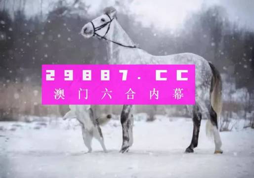 今晚一肖一码澳门一肖com,今晚一肖一码澳门一肖，探索背后的神秘世界