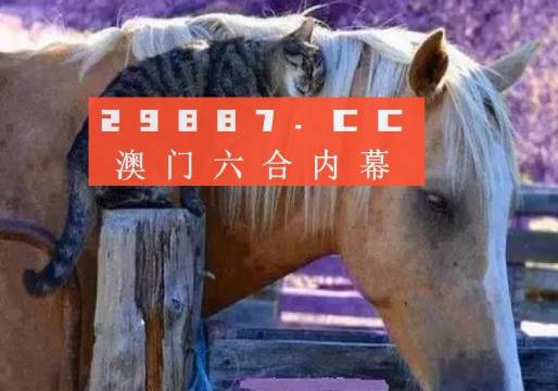 澳门资料免费大全,澳门资料免费大全，探索与发现