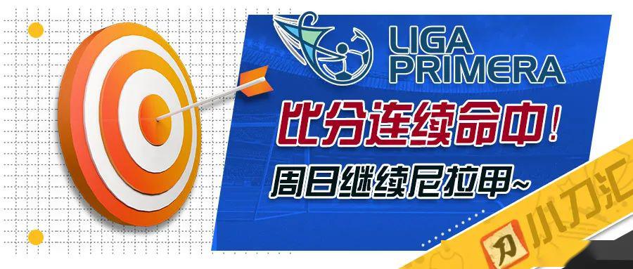 2025新奥资料免费精准096期 14-47-09-02-42-21T：31,探索未来之门，新奥资料免费精准第096期详解与前瞻